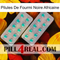 African Black Ant Pills 29